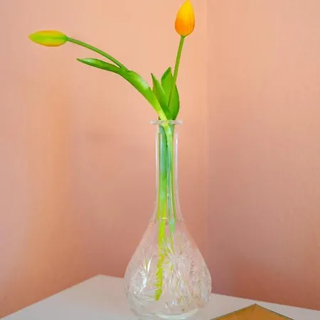 Traeumerei 3* Laubach (Giessen)