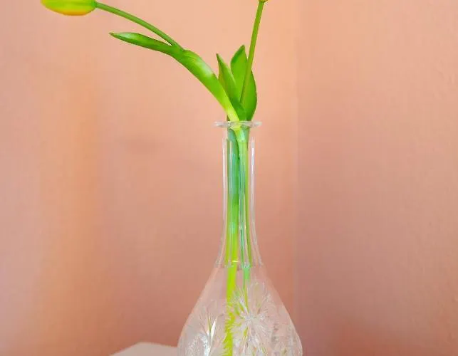 Traeumerei 3* Laubach (Giessen)